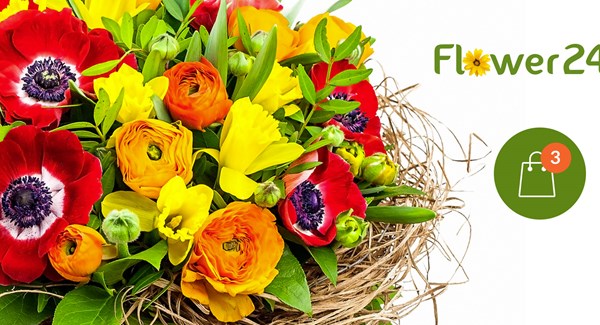 Flower 24
