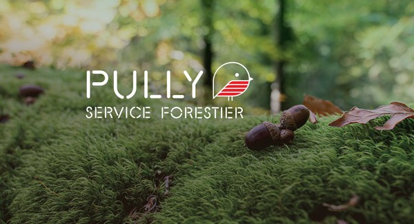 Service Forestier de Pully